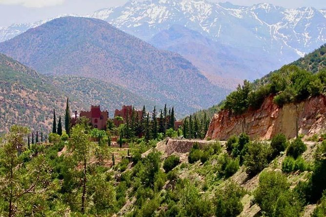 Full Day Trip to Ourika Valley and High Atlas - Tour Highlights
