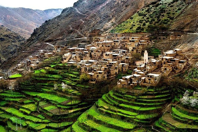 Full Day Trip To Ourika Valley From Marrakech - Booking Information