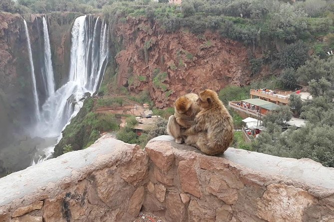 Full Day Trip to Ouzoud Waterfalls From Marrakech - Cancellation Policy