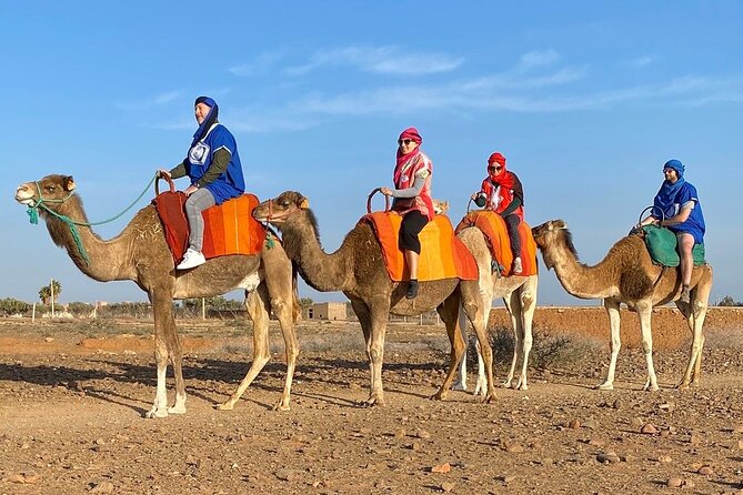 Full-Day Trip to the Atlas Mountains of Morocco and Camel Ride - Meeting and Pickup Information