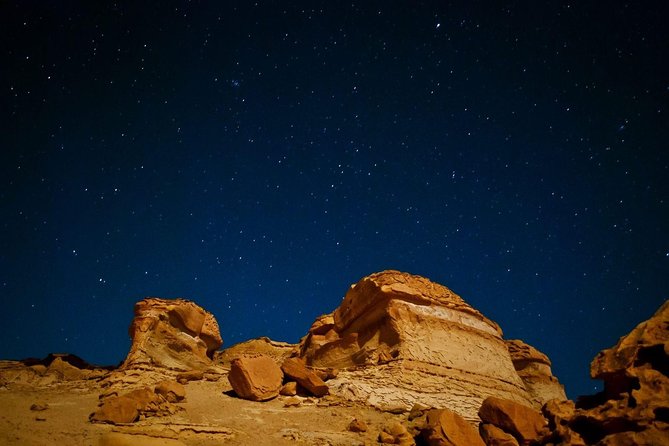 Full Day Trip to Wadi ElHitan - Additional Details