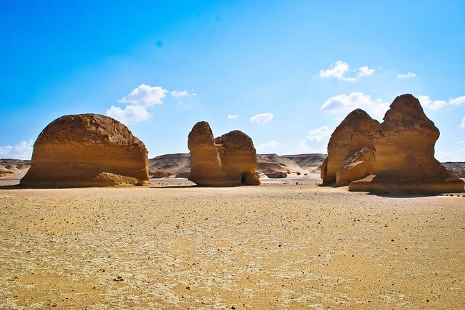 Full Day Trip to Wadi ElHitan - Vegetarian Option