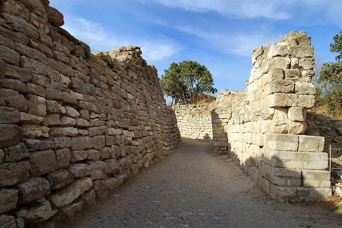 Full Day Troy & Gallipoli Tour ( From Canakkale ) - UNESCO-listed Ruins of Troy