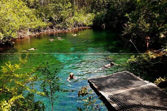 Full Day Tulum Paradise Beach - Authentic Insights from Reviews