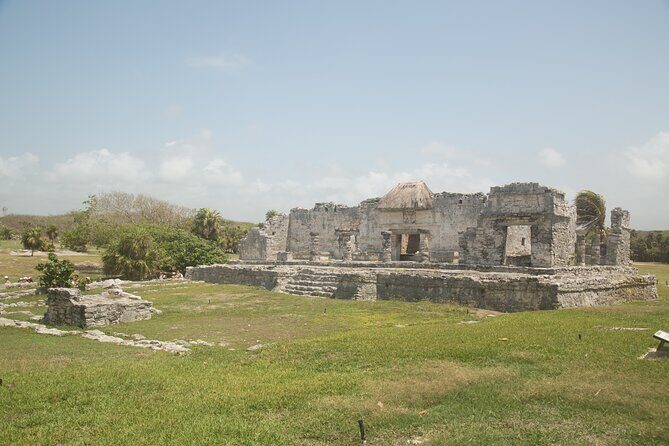 Full Day Tulum Ruins Tour Cenote and Swimming with Sea Turtles - The Sum Up