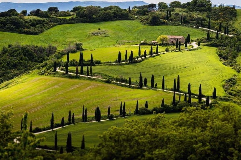 Full Day Tuscan Tour: Pisa,Lucca,Chianti Winery meal/tasting - Good To Know