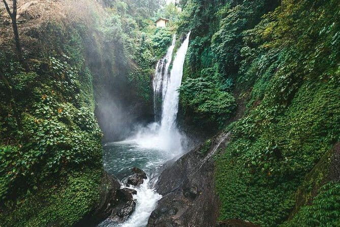 Full day Ubud and Tanah Lot tour - The Sum Up