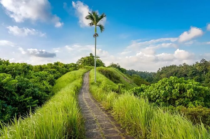Full Day Ubud Private Tour - Itinerary Highlights