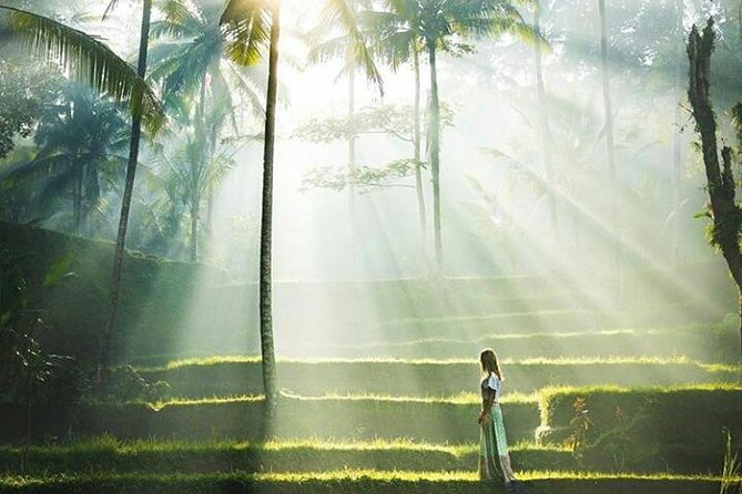 Full-Day Ubud Private Tour - Monkey Forest - Waterfall - Free Wifi - Monkey Forest Experience