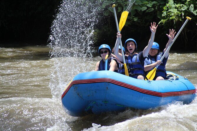 Full day Ubud Tour Bali Rafting, Monkey Forest and Rice Terrace - The Sum Up