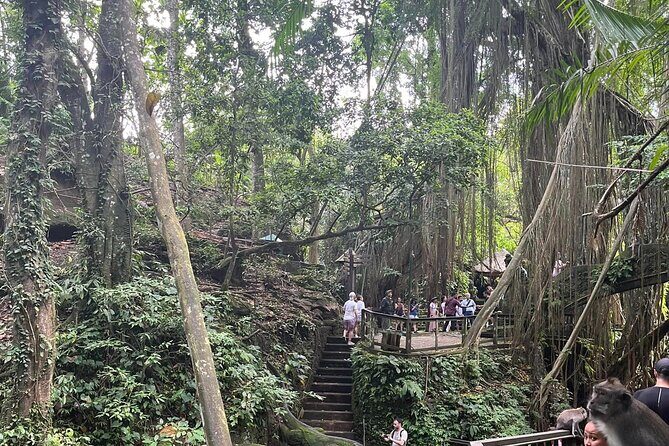 Full day Ubud tour Rafting and Rice Terrace with Monkey Forest - Tegalalang Rice Terraces: Scenic Beauty at Its Finest