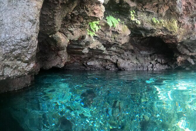 Full-Day Upolu Island Highlights Tour from Apia - Who Is This Tour Best For?