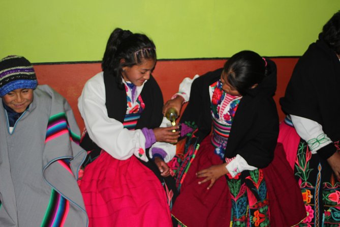 Full-Day Uros and Taquile Island Tour From Puno - Inclusions and Costs