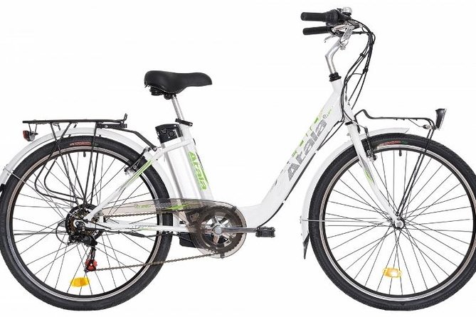 Full Day Venice E-Bike Rental - Rental Inclusions