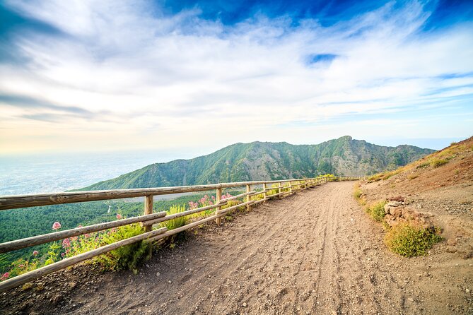Full Day Vesuvius and Pompeii Ruins Combined Tour From Naples - Good To Know
