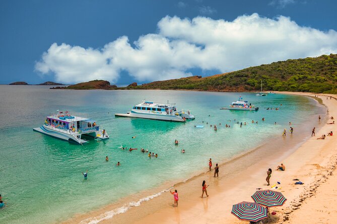 Full Day Vieques Beach Tour by Catamaran - Tour Overview