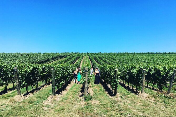 Full-Day Vintage Bus Wine Tour of Sussex from London - Discovering Sussex’s Wine Heritage
