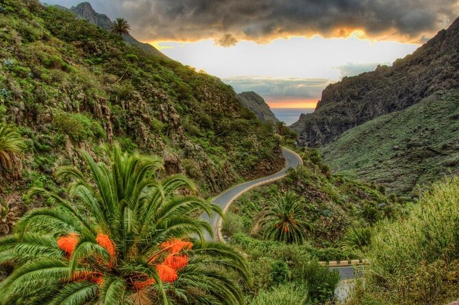 Full-Day Vip Masca and Teide Tour From South Tenerife - Expert Tour Guide