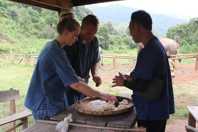 Full Day Visit Chiang Mai Eco Elephant Care - Transportation and Logistics