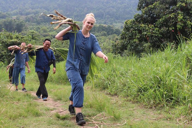 Full Day Visit Chiang Mai Eco Elephant Care - Learning About Elephant Behavior