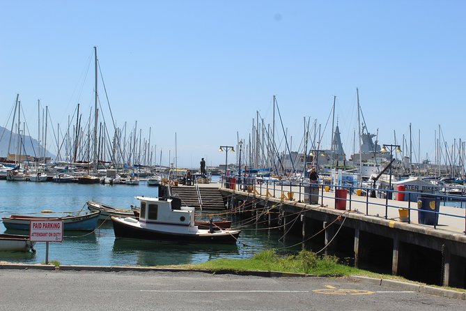 Full Day Visit to Cape Point Cape of Good Hope for Special Needs From Cape Town - Accessible Transportation Options