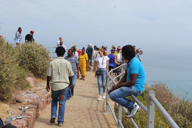 Full Day Visit to Cape Point Cape of Good Hope for Special Needs From Cape Town - Booking and Contact Information
