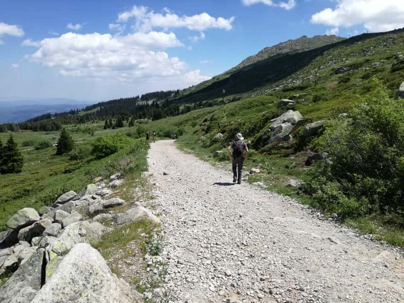 Full-Day Vitosha and Cherni Vruh Peak Hiking Tour - Who Will Love This Tour?