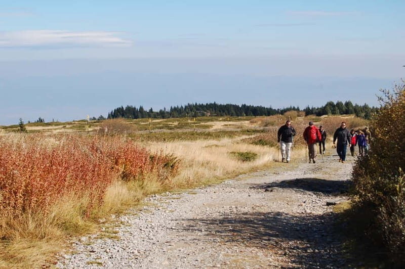 Full-Day Vitosha and Cherni Vruh Peak Hiking Tour - Frequently Asked Questions