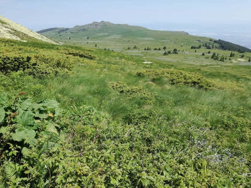 Full-Day Vitosha and Cherni Vruh Peak Hiking Tour - Final Thoughts