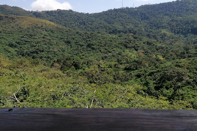 Full-Day Volta Experience ( Mount Gemi and Monkey Sanctuary) Private Tour - Key Highlights