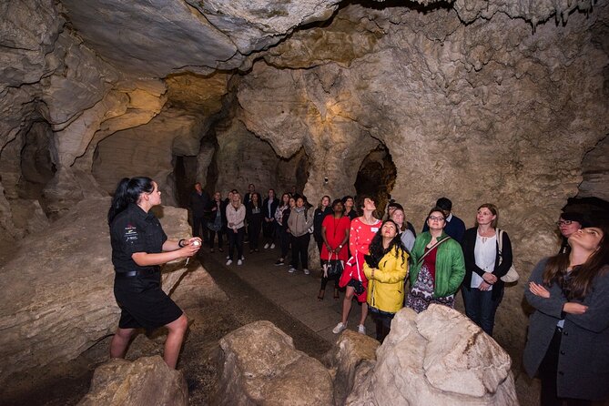Full Day Waitomo Glow Worm Cave and Kiwi House Tour - Cave Exploration