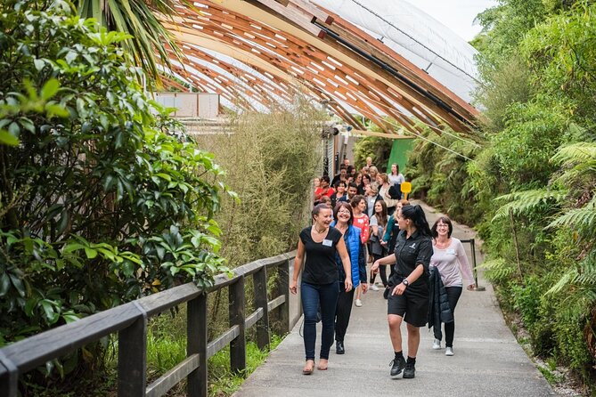 Full Day Waitomo Glow Worm Cave and Kiwi House Tour - Kiwi House Encounter