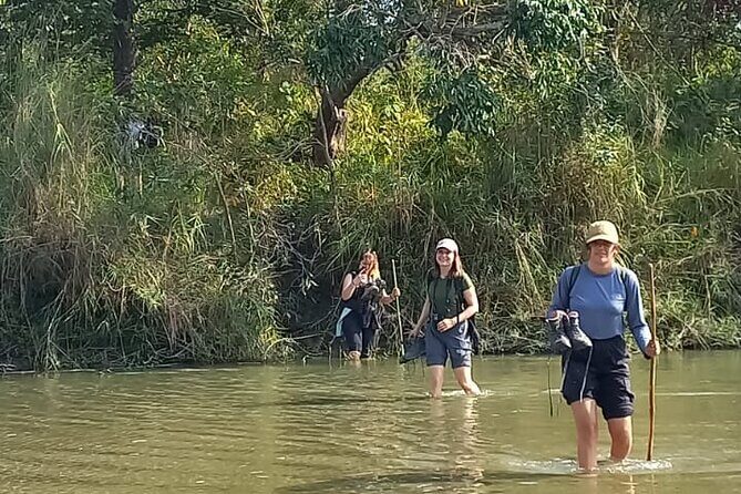 Full Day walking safari at Bardia National Park With LUNCH &GUIDE - Why Choose a Walking Safari?