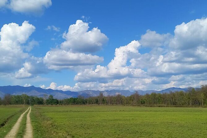 Full Day walking safari at Bardia National Park With LUNCH &GUIDE - The Sum Up
