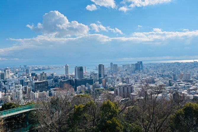 Full Day Walking Tour Around Kobe Mountains Sea and Sake - Sake Tasting Experience