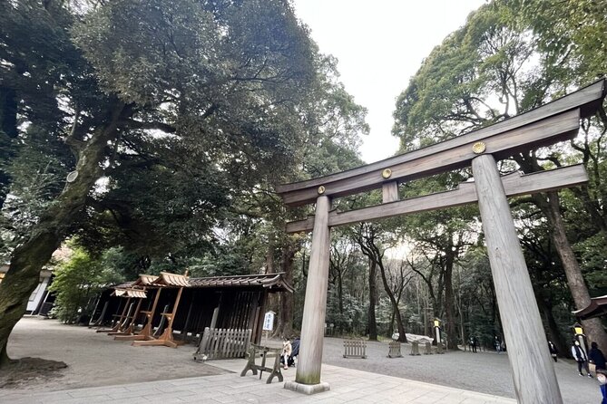 Full Day Walking Tour in Shinjuku and Shibuya - Meeting Point Details