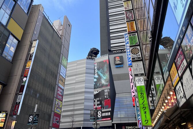Full Day Walking Tour in Shinjuku and Shibuya - Inclusions and Exclusions