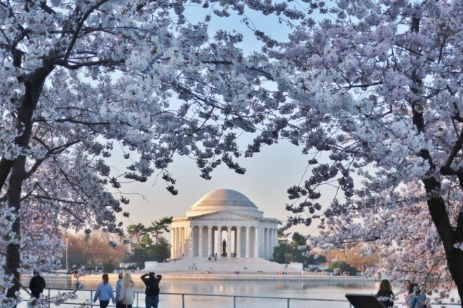 Full Day Washington DC Tour From New York City - Guided Tour Highlights