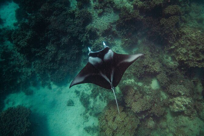 Full Day Water Experience Eco snorkeling and Jet ski with lunch - Detailed Breakdown of the Itinerary