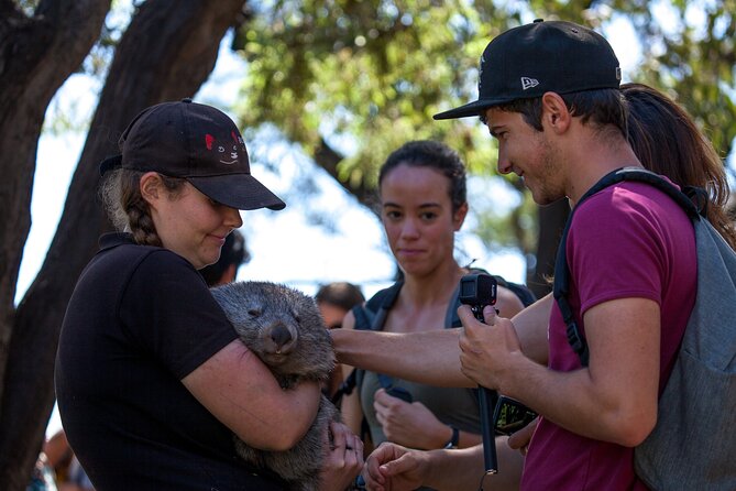 Full-Day Waterfalls, Wilderness & Wildlife Hobart Tour - Itinerary Overview