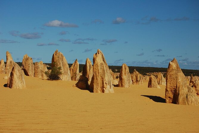 Full Day Wave Rock and Pinnacles Tour - Fees and Taxes