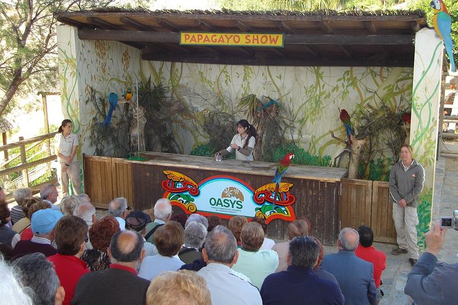 Full-Day Western Theme Park Tour of Mini Hollywood - Oasys - Pricing and Value