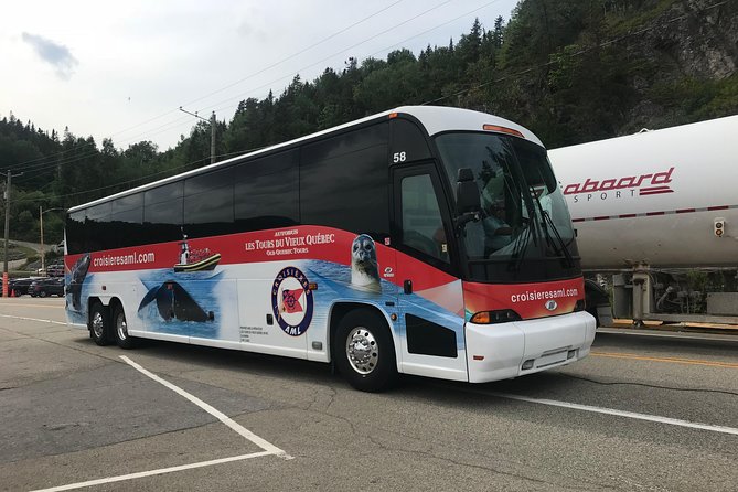 Full-Day Whale Watching Cruise From Quebec City - Additional Information and Policies