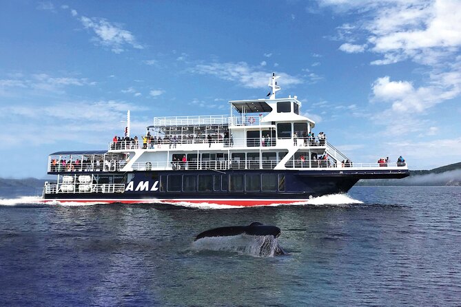 Full-Day Whale Watching Cruise From Quebec City - The Sum Up