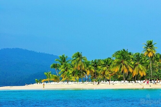 Full-Day Whale Watching Tour in Samana Bay From Punta Cana - Tour Provider Details