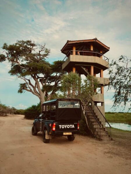 Full-Day Wild Safari in Kumana National Park - Booking Information