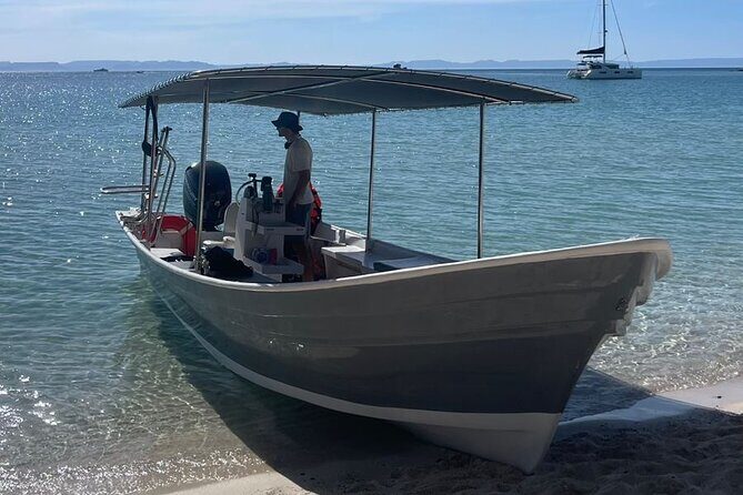 Full Day Wildlife Expedition in the Sea of Cortez - An In-Depth Look at the Full Day Wildlife Expedition in the Sea of Cortez