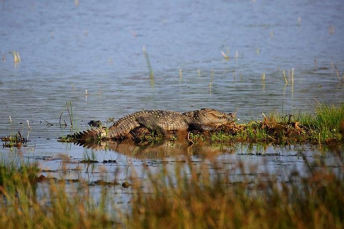 Full Day Wilpaththu National Park Safari (All Inclusive) - Overview of Wilpaththu National Park