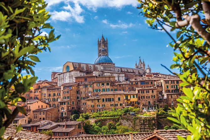 Full Day: Wine Experience in San Gimignano, Siena & Monteriggioni - Traveler Photos and Ratings