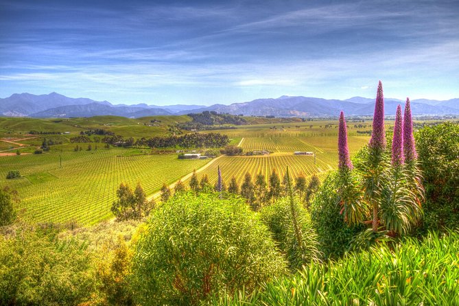 Full-Day Wine Gourmet and Scenic Delight Tour of Marlborough From Blenheim - Vineyard Exploration in the Wairau Valley